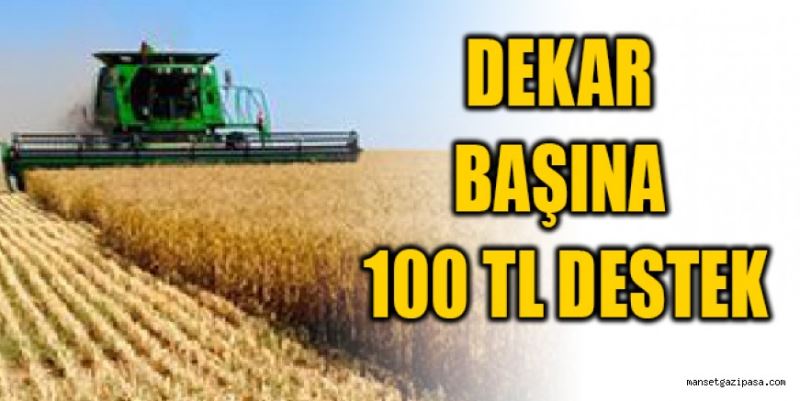 Dekar başına 100 TL destek