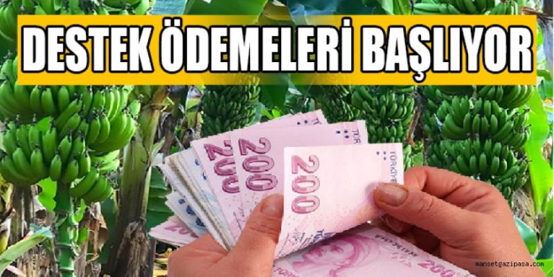 DESTEK ÖDEMELERİ BAŞLIYOR