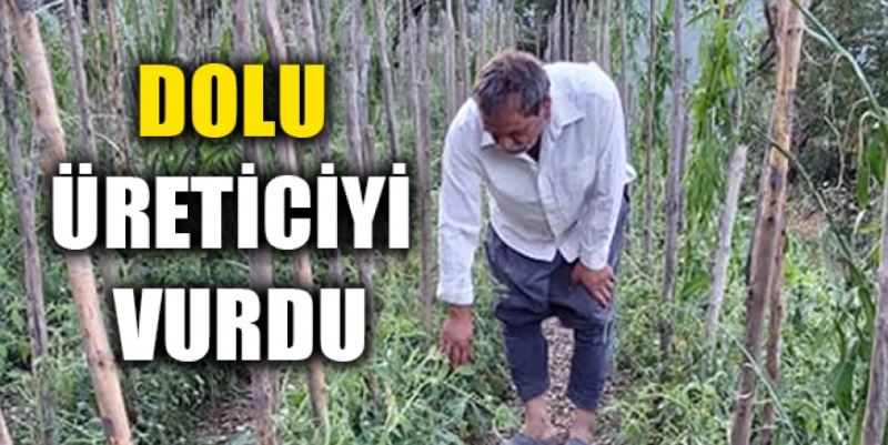 DOLU ÜRETİCİYİ VURDU