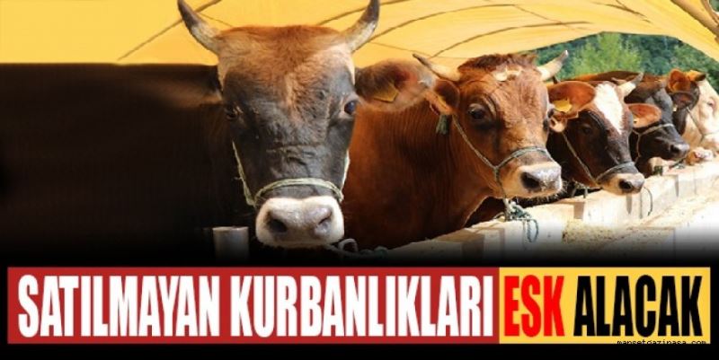 ELDE KALAN KURBANLIKLARI ESK ALACAK