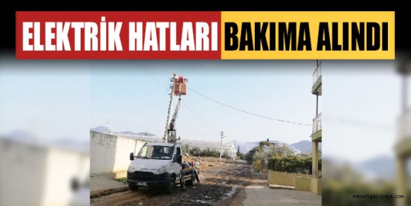 ELEKTRİK HATLARI BAKIMA ALINDI