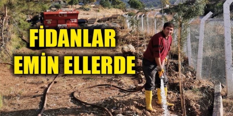 FİDANLAR EMİN ELLERDE