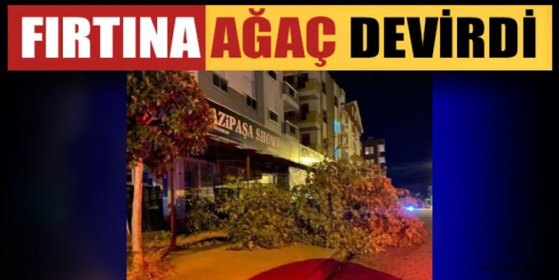 FIRTINA AĞAÇ DEVİRDİ