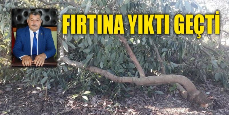 FIRTINA YIKTI GEÇTİ