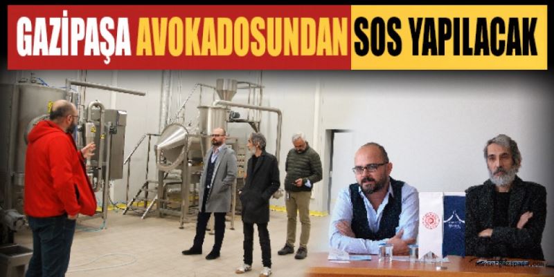 GAZİPAŞA AVOKADOSUNDAN SOS YAPILACAK