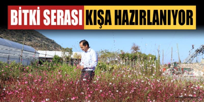 GAZİPAŞA BELEDİYESİ’NİN BİTKİ ÜRETİM MERKEZİNDE KIŞ HAZIRLIĞI BAŞLADI