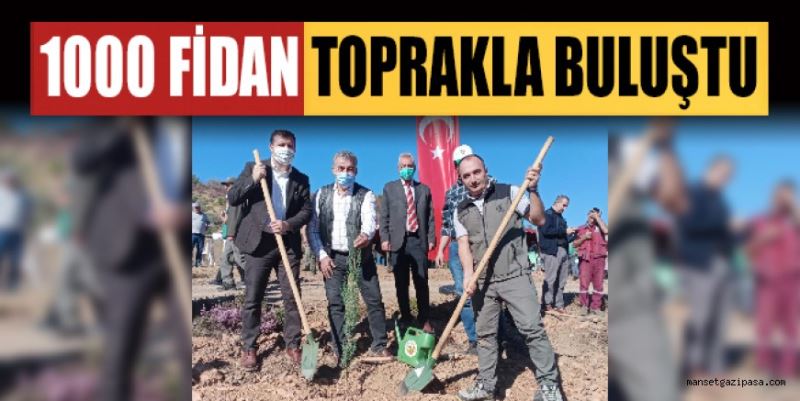 GAZİPAŞA’DA BİN FİDAN TOPRAKLA BULUŞTU