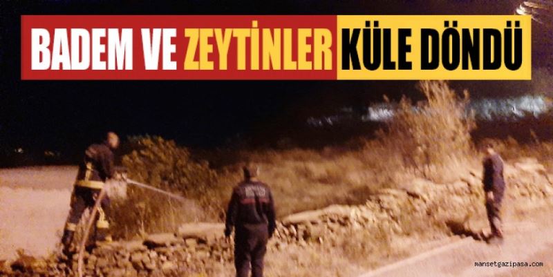 GAZİPAŞA’DA ÇIKAN YANGINDA ZEYTİN VE BADEM AĞAÇLARI KÜLE DÖNDÜ