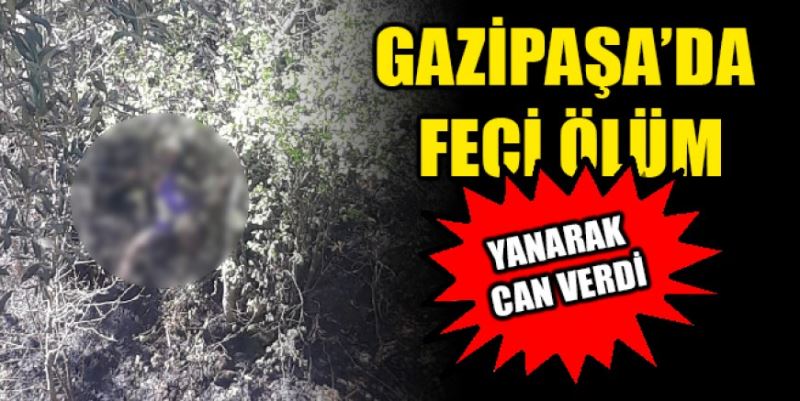 GAZİPAŞA’DA FECİ ÖLÜM