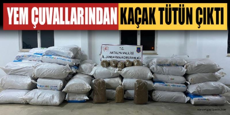 GAZİPAŞA’DA KAÇAK TÜTÜN OPERASYONU