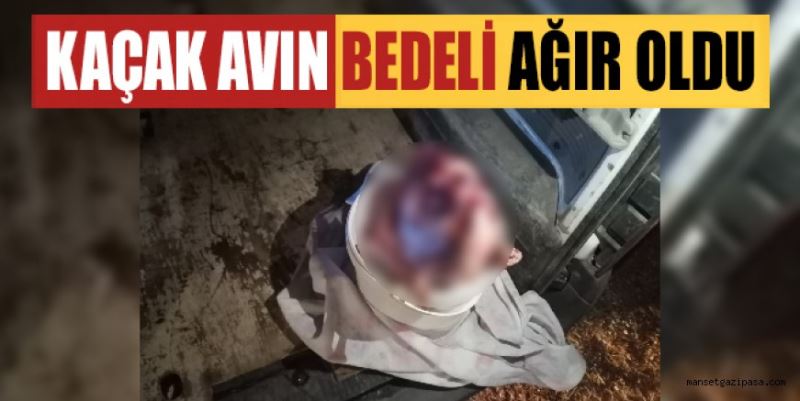 GAZİPAŞA’DA KAÇAK YOLLARLA YABAN KEÇİSİ VURAN ADAMA 70 BİN TL PARA CEZASI UYGULANDI