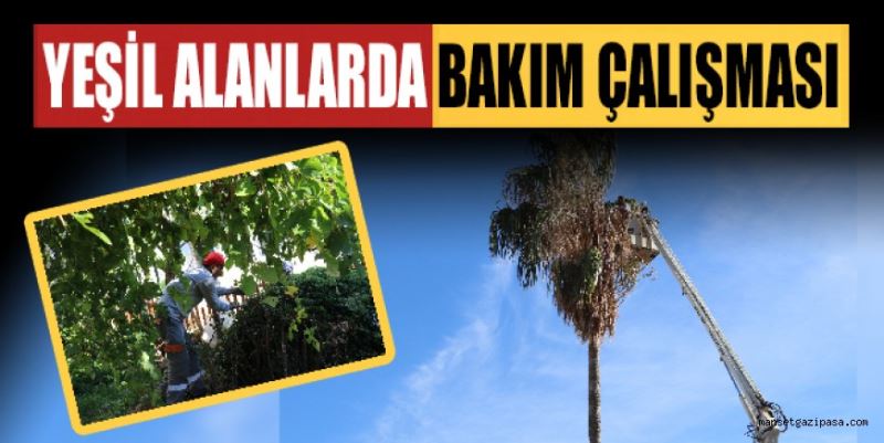 GAZİPAŞA’DA YEŞİL ALANLARDA BAKIM ÇALIŞMASI BAŞLATILDI