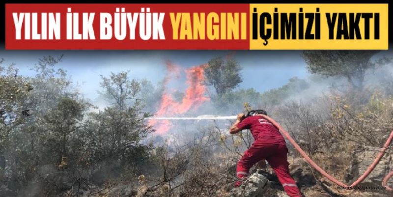 GAZİPAŞA’DA YILIN İLK BÜYÜK ORMAN YANGININDA 35 DÖNÜM ORMANLIK ALAN KÜL OLDU