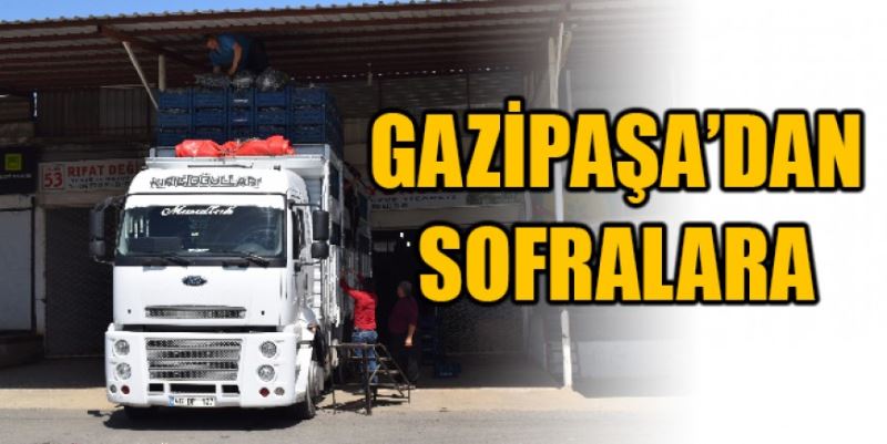 GAZİPAŞA’DAN SOFRALARA