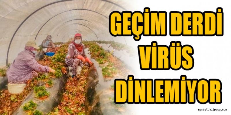 GEÇİM DERDİ VİRÜS DİNLEMİYOR