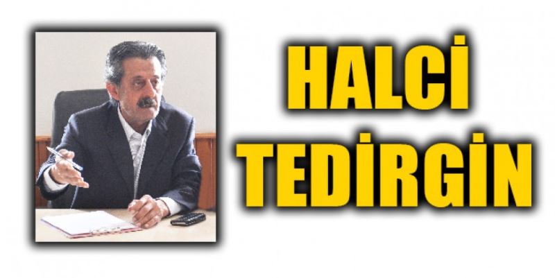 HALCİ TEDİRGİN