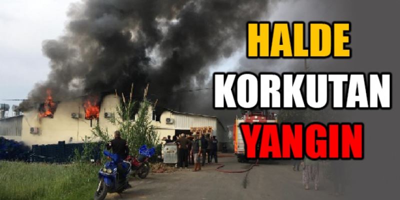 HALDE ÇIKAN YANGIN KORKUTTU