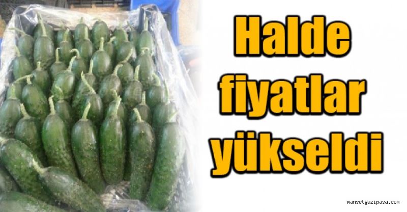 Halde fiyatlar yükseldi