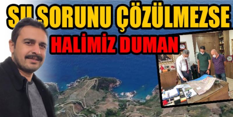 HALİMİZ DUMAN