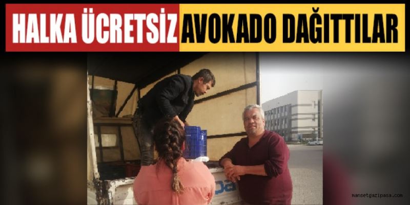 HALKA ÜCRETSİZ AVOKADO DAĞITTILAR