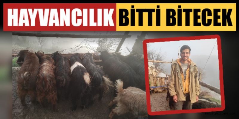 HAYVANCILIK BİTTİ BİTECEK