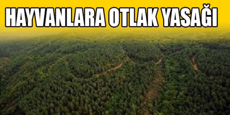 HAYVANLARA OTLAK YASAĞI 