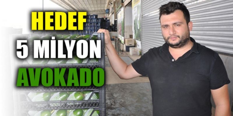 HEDEF 5 MİLYON AVOKADO