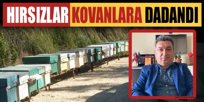 HIRSIZLAR KOVANLARA DADANDI