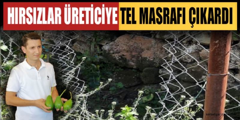 HIRSIZLAR ÜRETİCİYE TEL MASRAFI ÇIKARDI