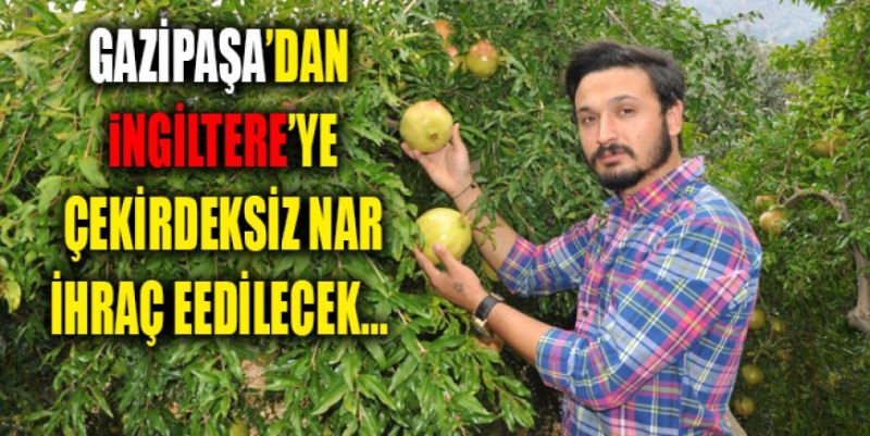 İNGİLTERE’YE ÇEKİRDEKİSİZ NAR İHRACATI