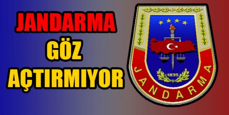 JANDARMA GÖZ AÇTIRMIYOR