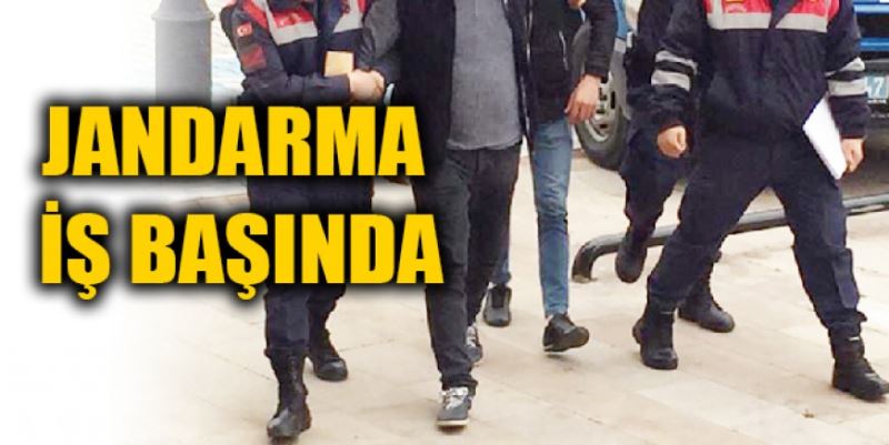 JANDARMA İŞ BAŞINDA