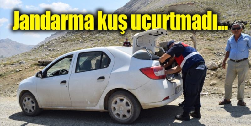 JANDARMA KUŞ UÇURTMADI