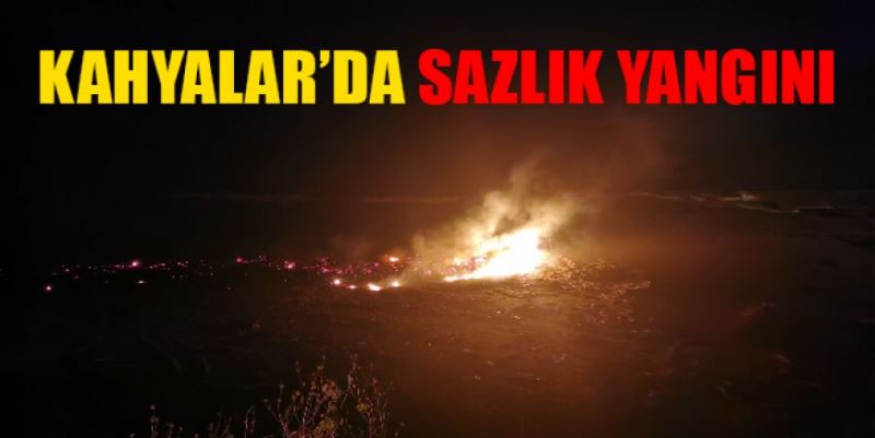 KAHYALAR’DA SAZLIK YANGINI