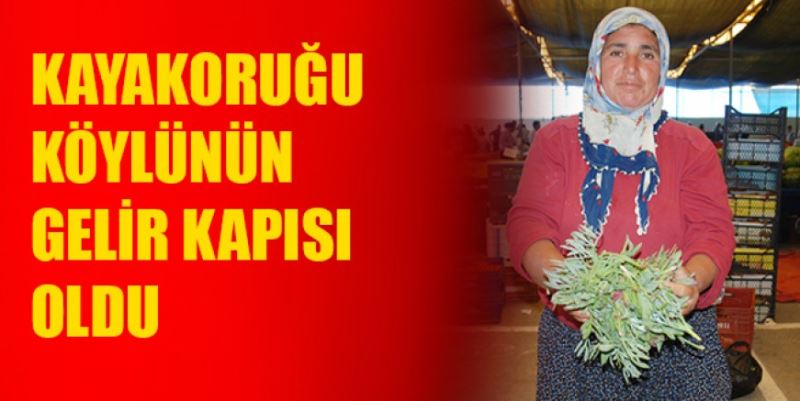 KAYAKORUĞU KÖYLÜNÜN GELİR KAPISI