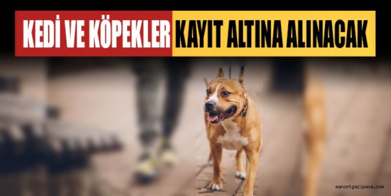 KEDİ VE KÖPEKLER KAYIT ALTINA ALINACAK