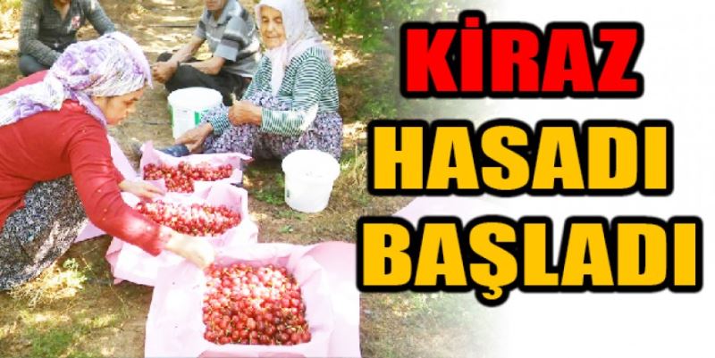 KİRAZ BAHÇEDE 20 TL