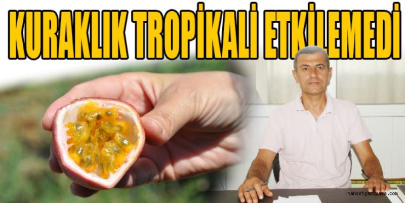 KURAKLIK TROPİKALİ ETKİLEMEDİ