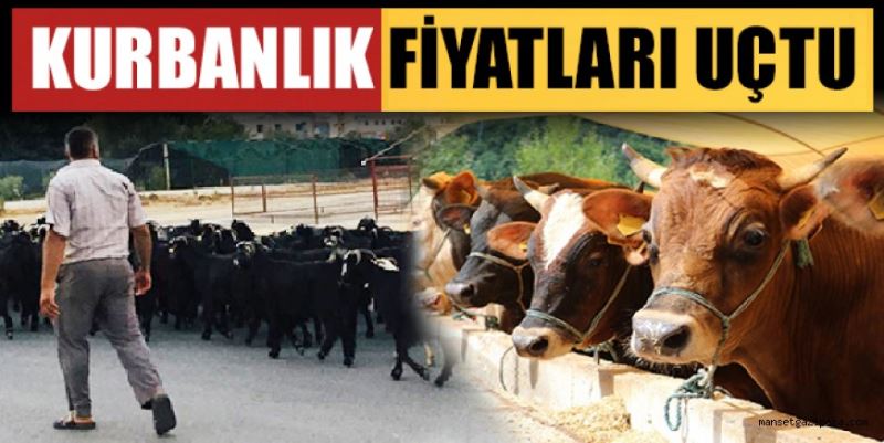 KURBANLIK FİYATLARI UÇTU