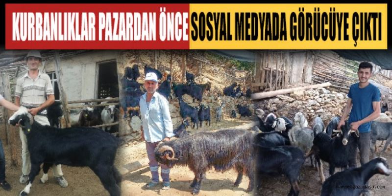 KURBANLIKLAR PAZARDAN ÖNCE SOSYAL MEDYADA GÖRÜCÜYE ÇIKTI