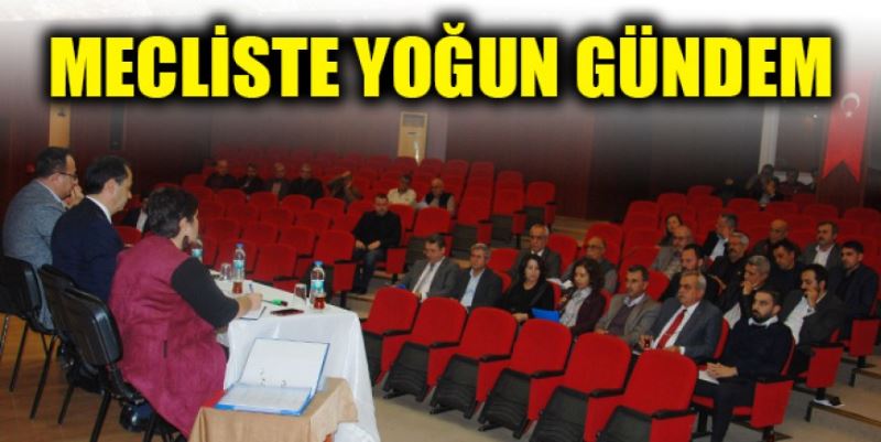 MECLİSTE YOĞUN GÜNDEM