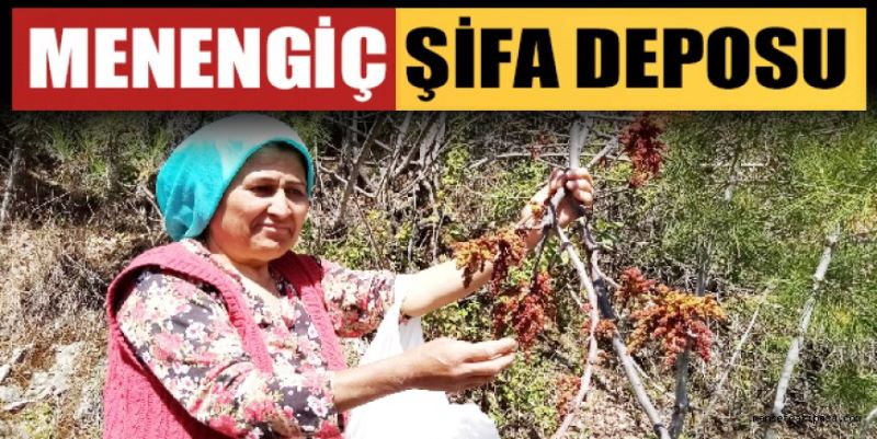 MENENGİÇ ŞİFA DEPOSU