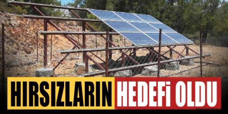 MESİRE ALANINA  HIRSIZ DADANDI