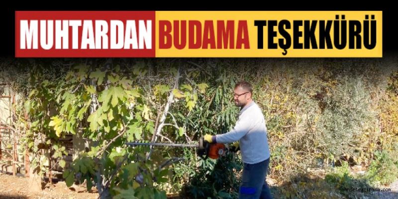 MUHTARDAN BUDAMA TEŞEKKÜRÜ