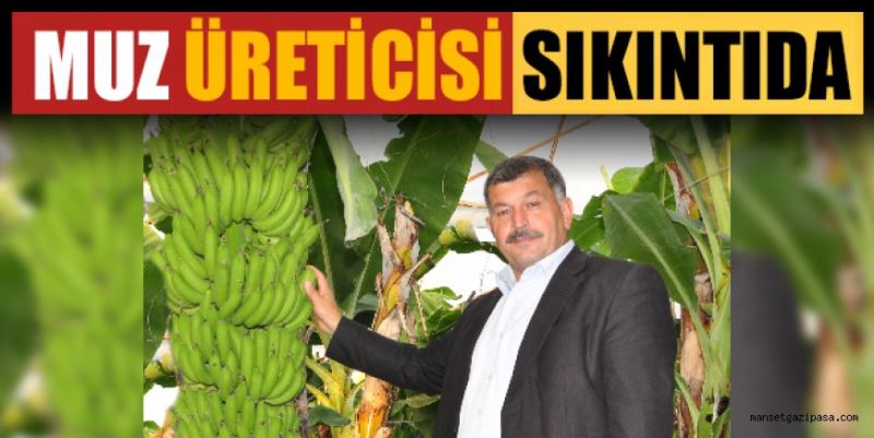 MUZ ÜRETİCİSİ SIKINTIDA