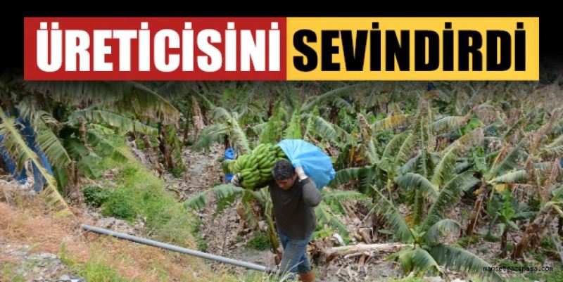 MUZ ÜRETİCİSİNİ SEVİNDİRDİ