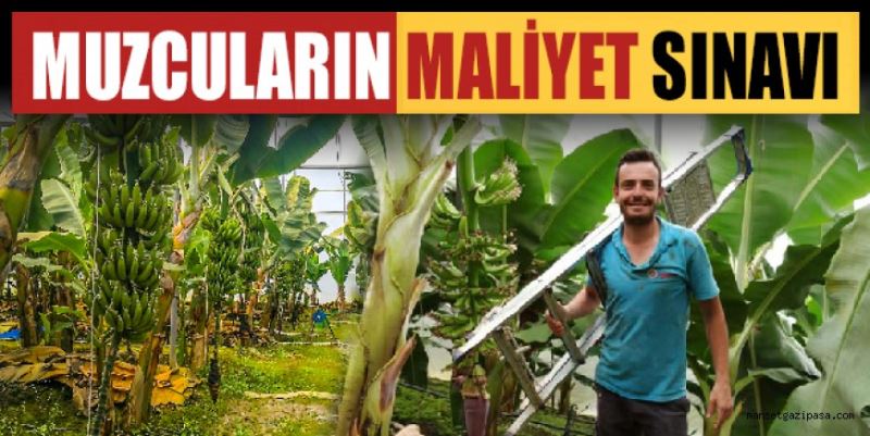 MUZCULARIN MALİYET SINAVI