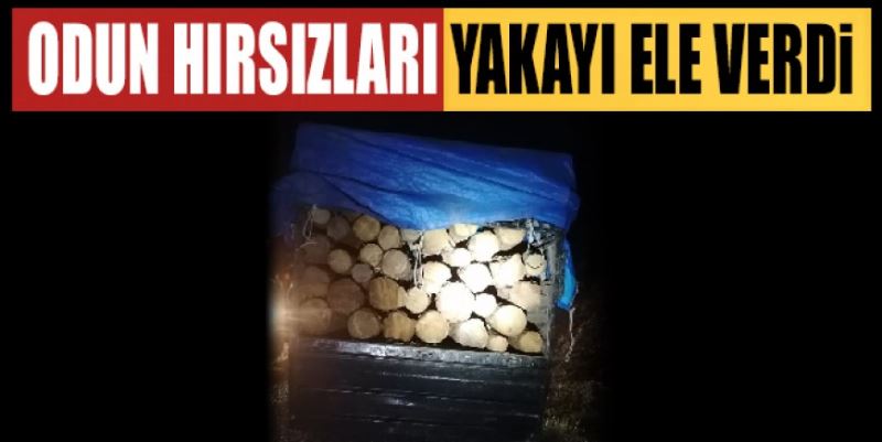 ODUN HIRSIZLARI YAKAYI ELE VERDİ