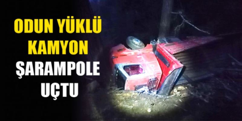 ODUN YÜKLÜ KAMYON UÇURUMA UÇTU