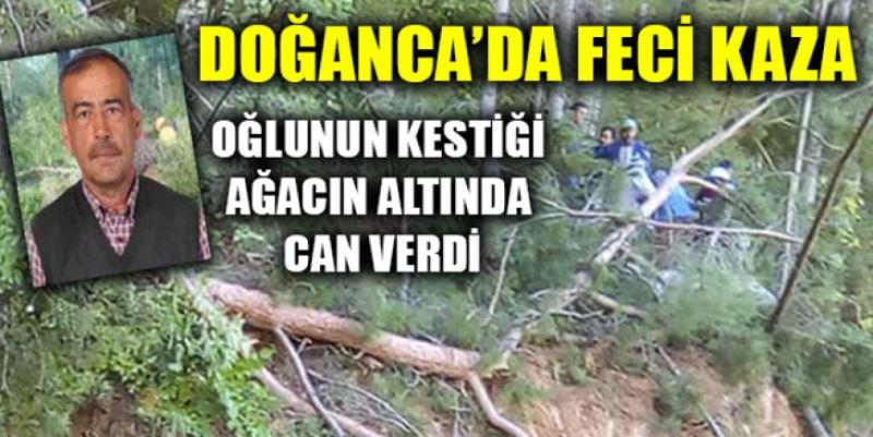 OĞLUNUN KESTİĞİ AĞACIN ALTINDA CAN VERDİ